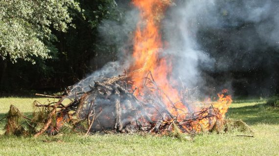 backyard burn